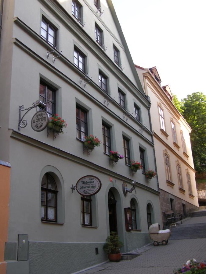 Penzion U Fridy Loket Exterior photo